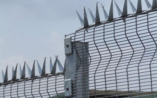 clear viu fence anti-climb anti- cut fence